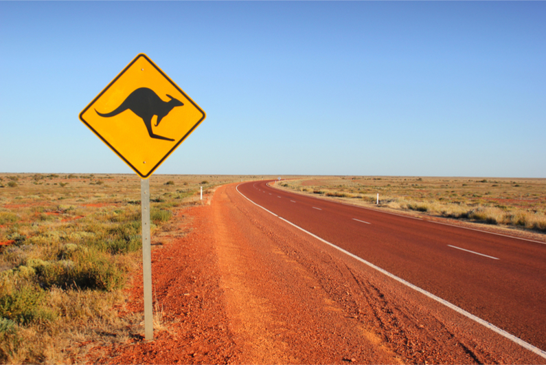 Kangaroo traffic sign