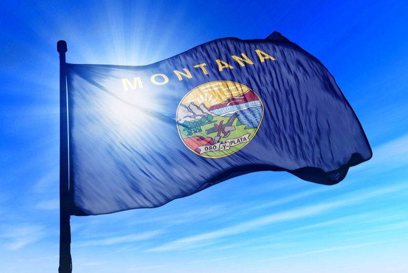 State flag of Montana