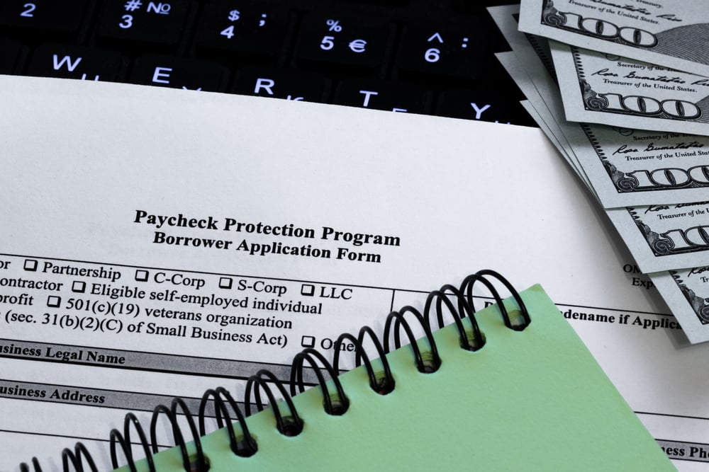 Paycheck Protection Program Borrower Application Form